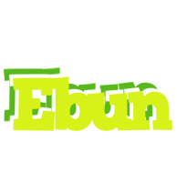 Ebun citrus logo