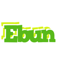 Ebun picnic logo