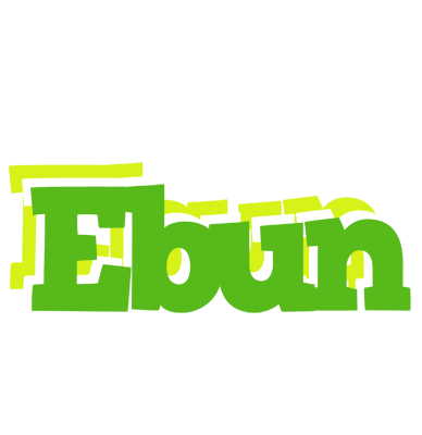 Ebun picnic logo