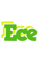 Ece picnic logo