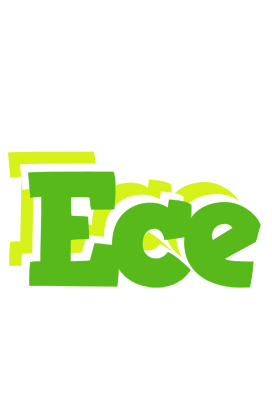 Ece picnic logo