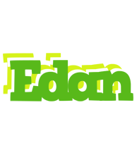 Edan picnic logo