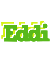 Eddi picnic logo