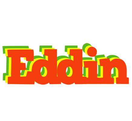 Eddin bbq logo