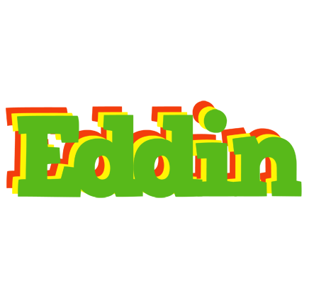 Eddin crocodile logo
