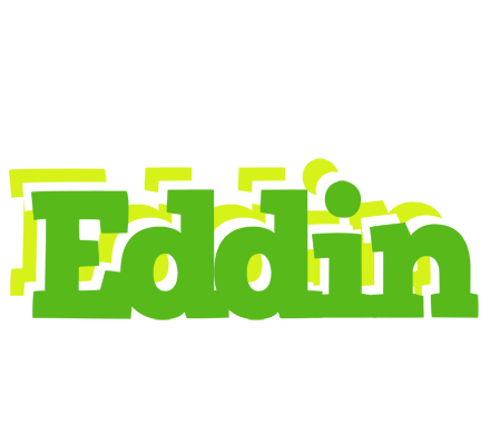 Eddin picnic logo