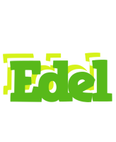 Edel picnic logo