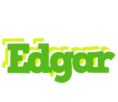 Edgar picnic logo