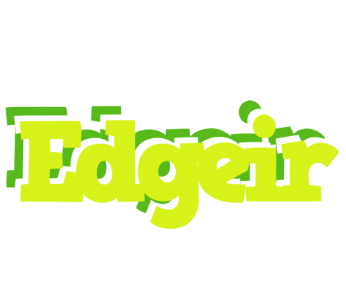 Edgeir citrus logo