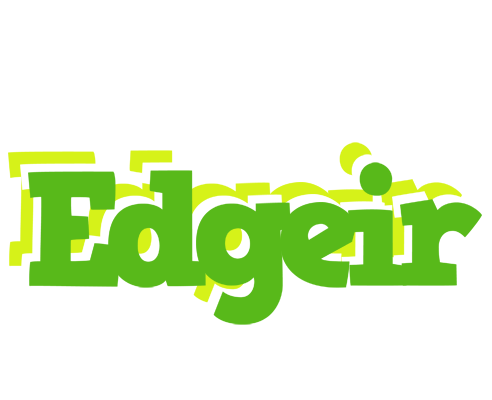Edgeir picnic logo
