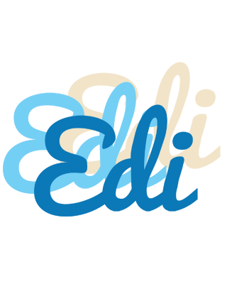 Edi breeze logo