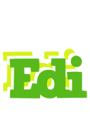 Edi picnic logo