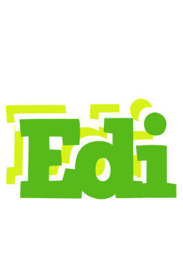Edi picnic logo