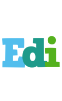 Edi rainbows logo