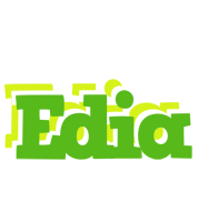 Edia picnic logo