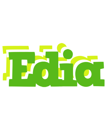 Edia picnic logo