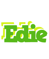 Edie picnic logo