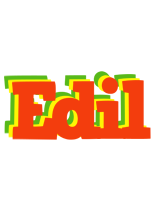 Edil bbq logo