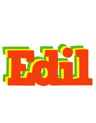 Edil bbq logo