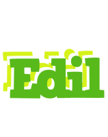 Edil picnic logo