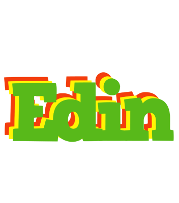 Edin crocodile logo