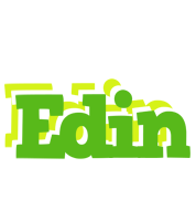 Edin picnic logo