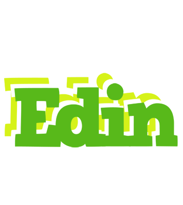 Edin picnic logo