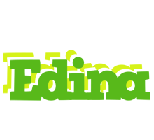 Edina picnic logo