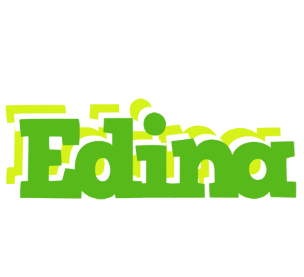 Edina picnic logo