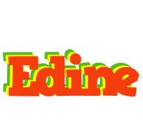 Edine bbq logo