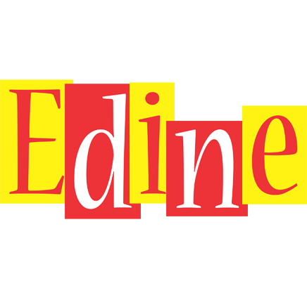 Edine errors logo