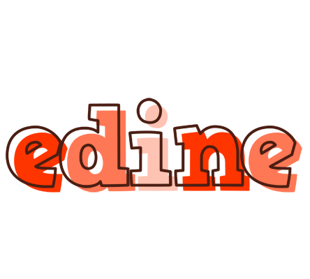 Edine paint logo