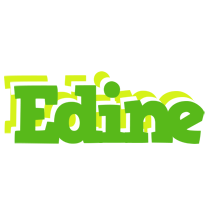 Edine picnic logo