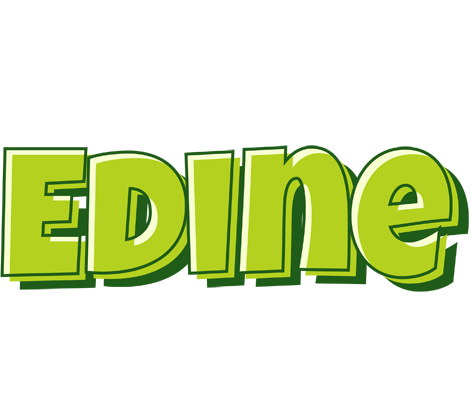 Edine summer logo