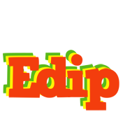 Edip bbq logo