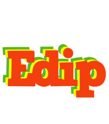 Edip bbq logo