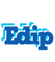 Edip business logo