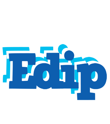 Edip business logo