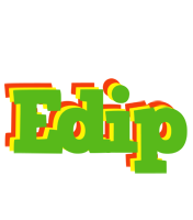 Edip crocodile logo