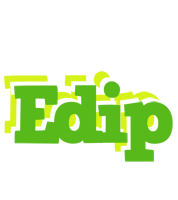 Edip picnic logo