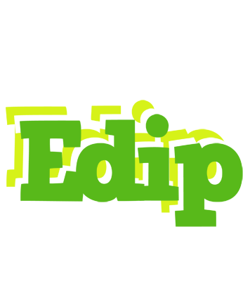 Edip picnic logo