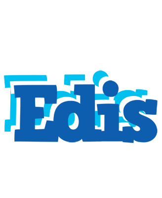 Edis business logo
