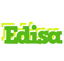 Edisa picnic logo
