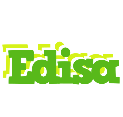 Edisa picnic logo