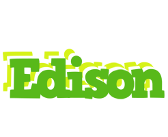 Edison picnic logo