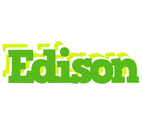 Edison picnic logo
