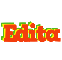 Edita bbq logo