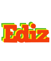 Ediz bbq logo