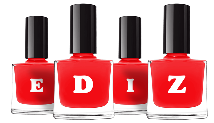 Ediz fashion logo