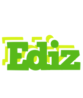 Ediz picnic logo